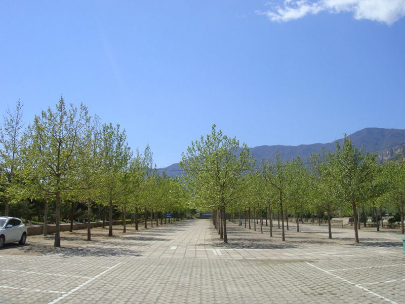 停车场