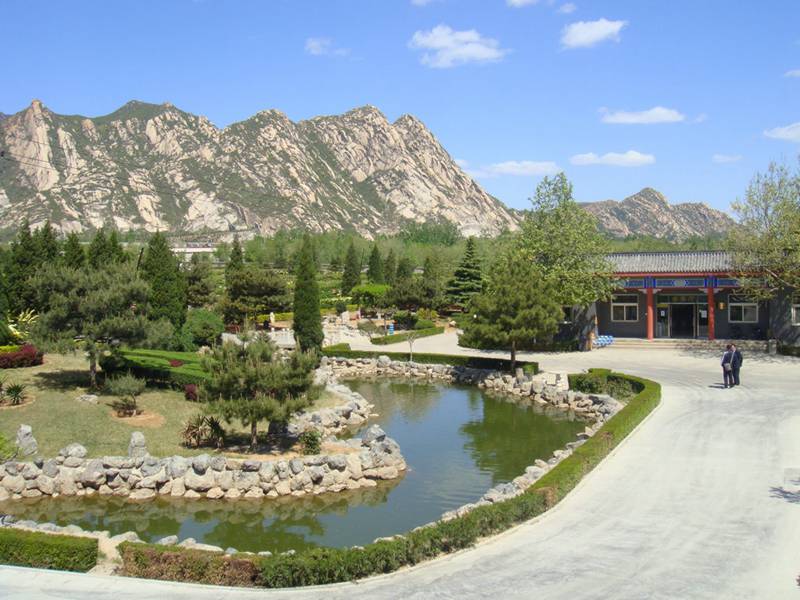 水系